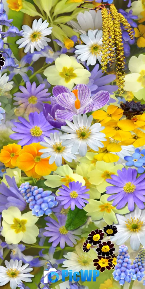 Colorful flowers Vivid 3K Mobile Wallpaper