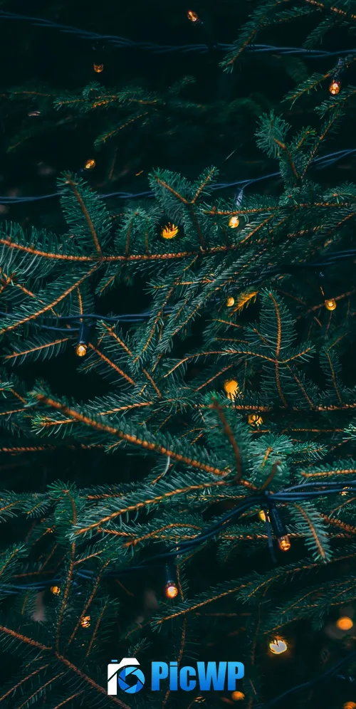 Pine trees Decoration 3K Mobile Wallpaper