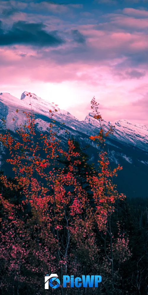 Mount Rundle Canada 3K Mobile Wallpaper