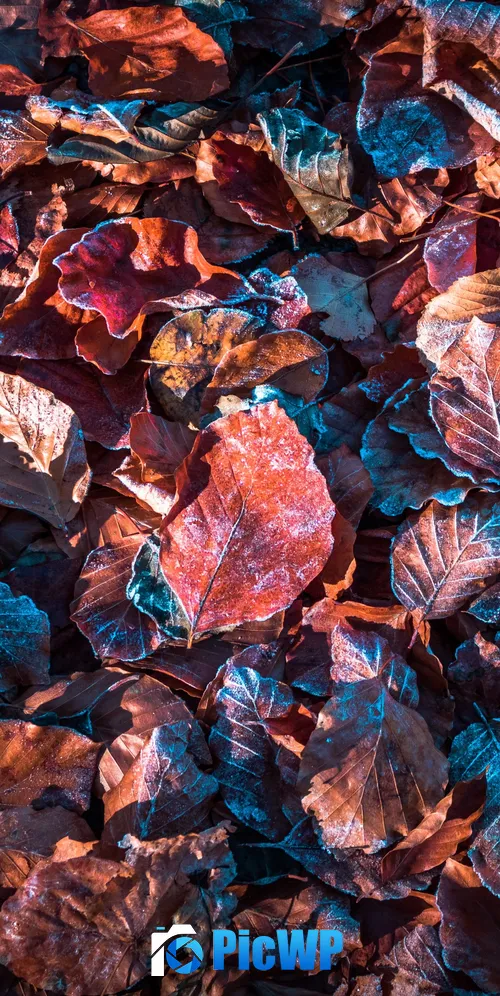 Autumn leaves Purple 3K Mobile Wallpaper