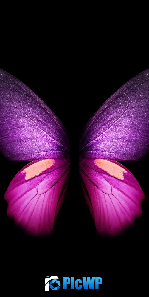 Purple Butterfly Wings 3K Mobile Wallpaper