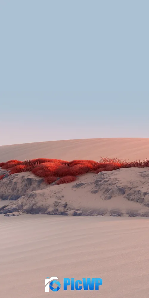 Landscape Desert 3K Mobile Wallpaper