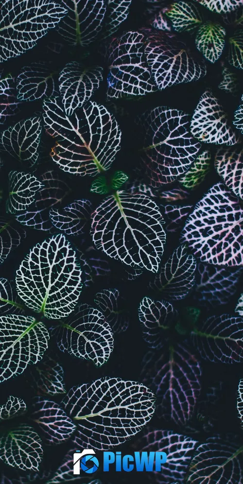 Leaves Plant 3K Mobile Wallpaper