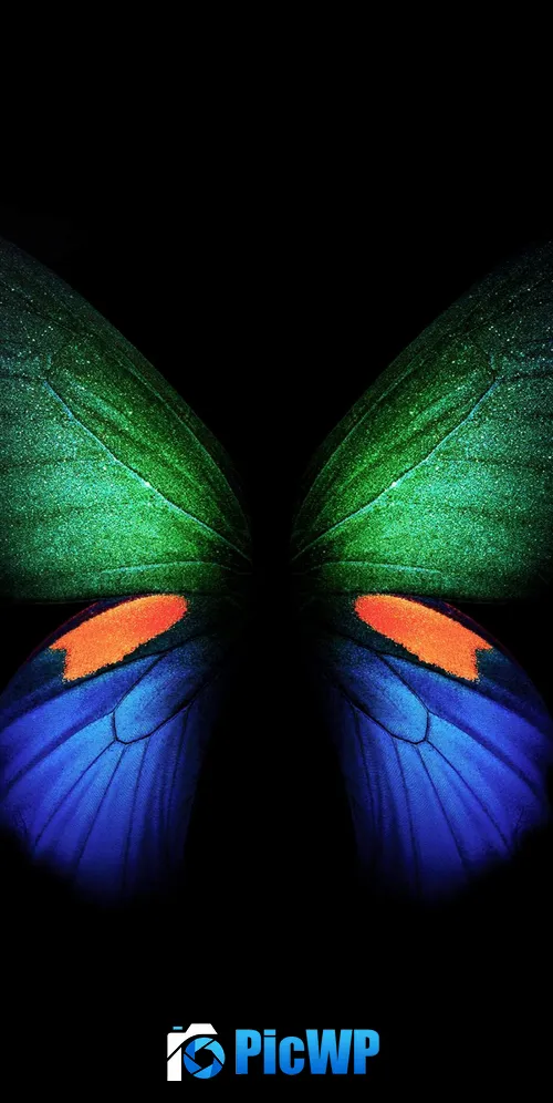 Butterfly Samsung Galaxy Fold 3K Mobile Wallpaper
