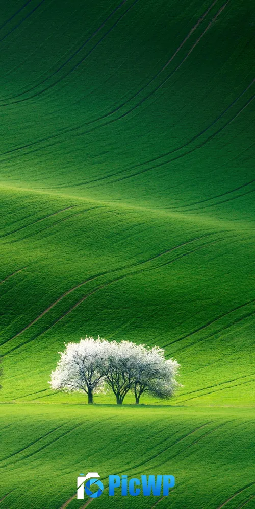 Grassland Green 3K Mobile Wallpaper