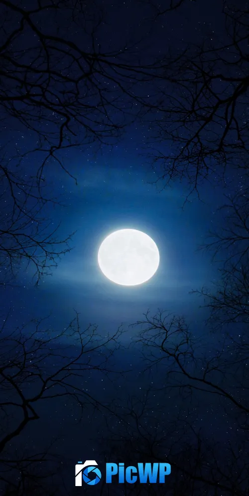 Cold Moon 3K Mobile Wallpaper