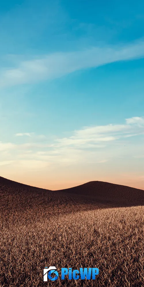 Dry fields Sunny day 3K Mobile Wallpaper
