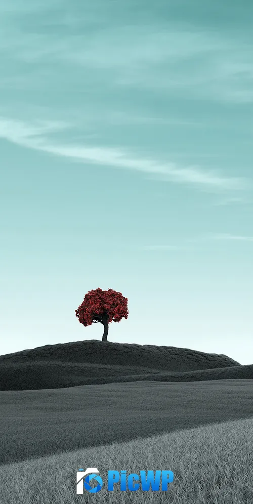 Lone tree Clear sky 3K Mobile Wallpaper