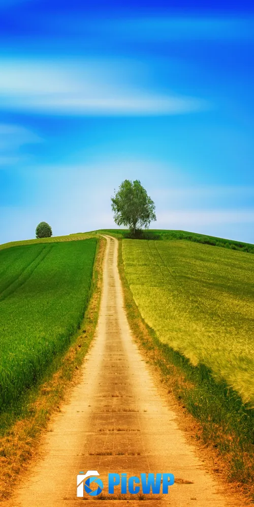 Landscape Green 3K Mobile Wallpaper