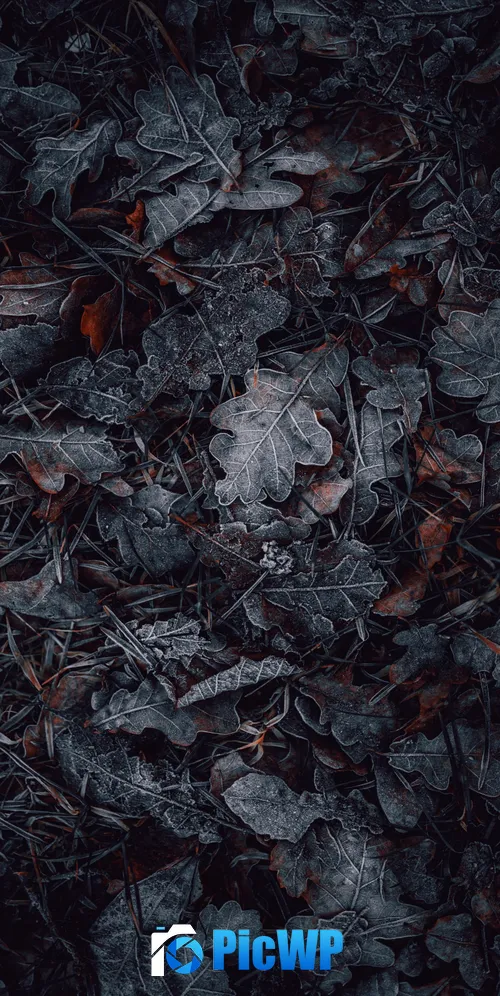 Leaves Frozen 3K Mobile Wallpaper