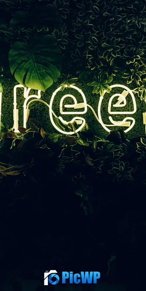 Green Neon sign 3K Mobile Wallpaper