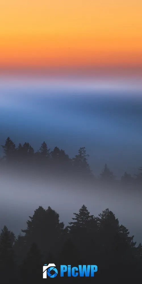 Sunrise Dawn 3K Mobile Wallpaper