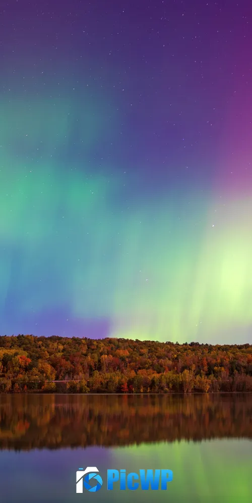 Aurora sky Forest 3K Mobile Wallpaper