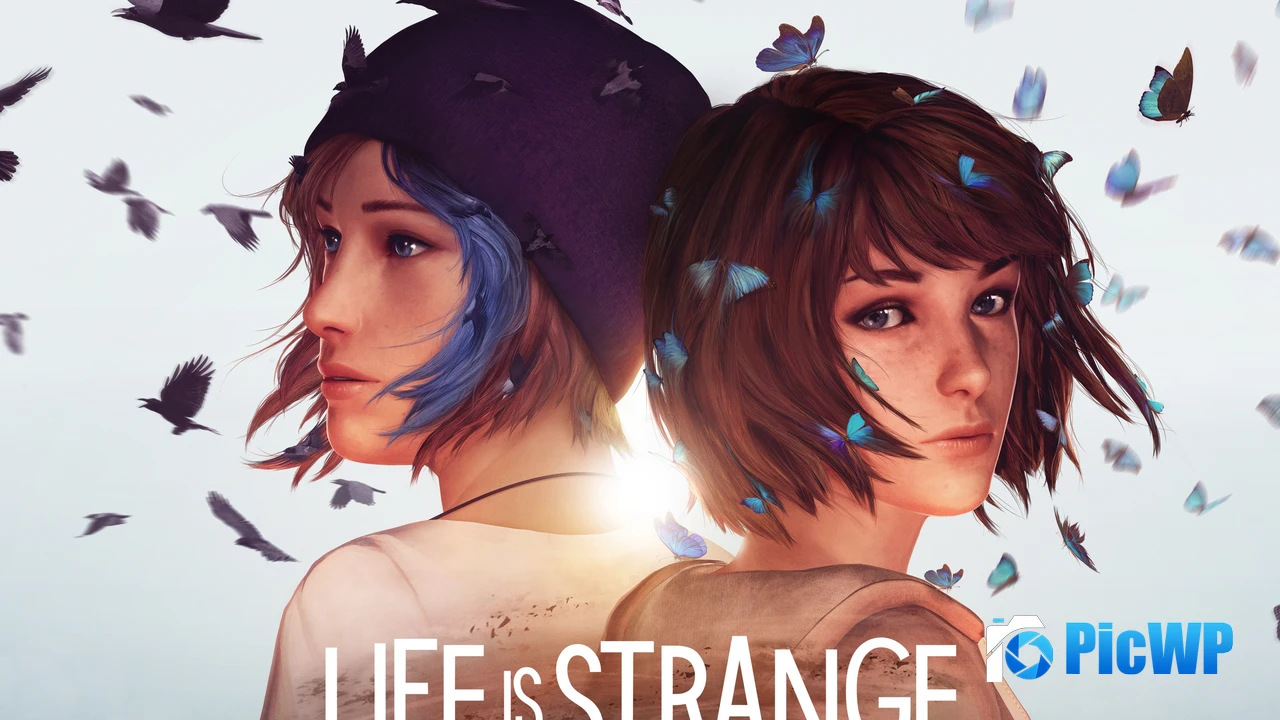 Life is Strange Video Game 4K PC Wallpaper