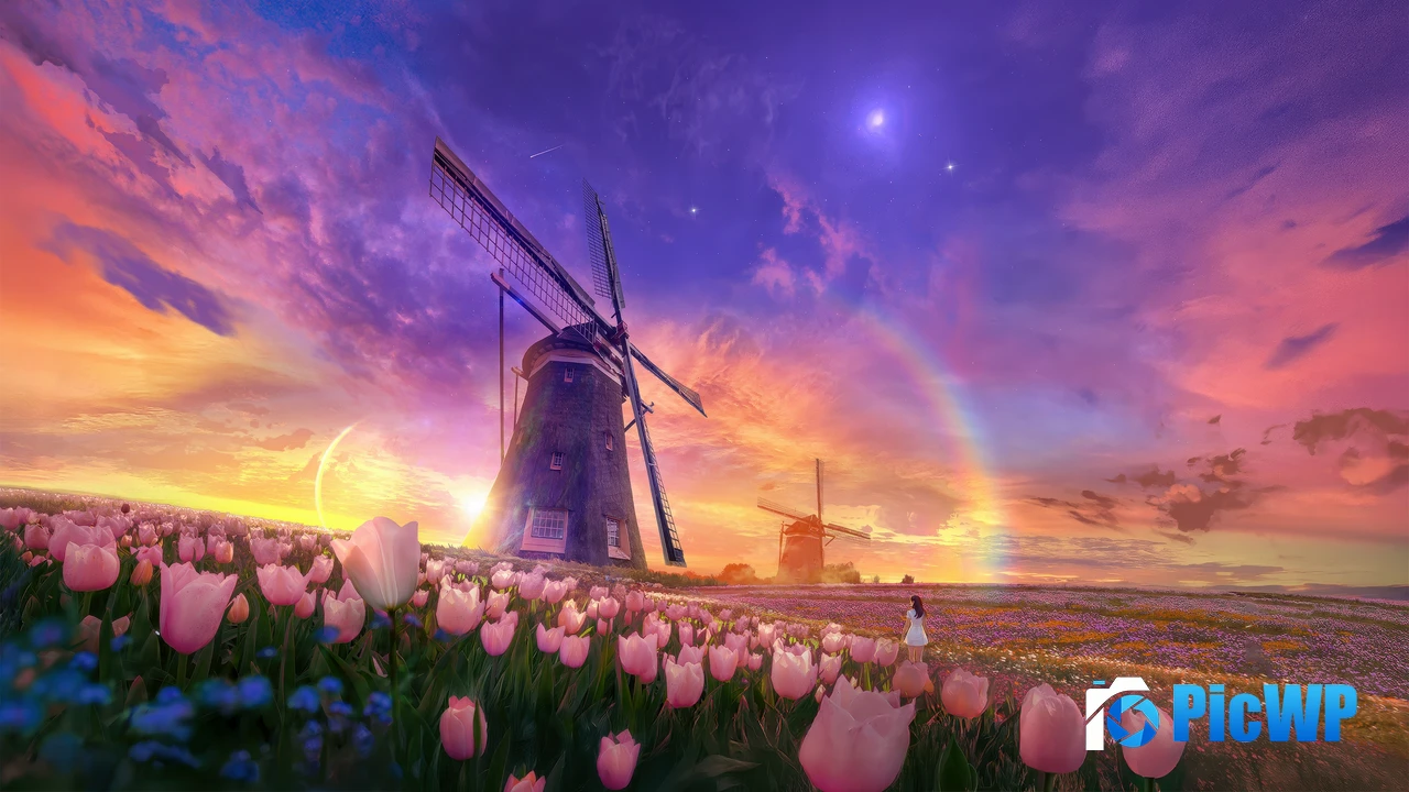 Tulips field Windmill 4K PC Wallpaper