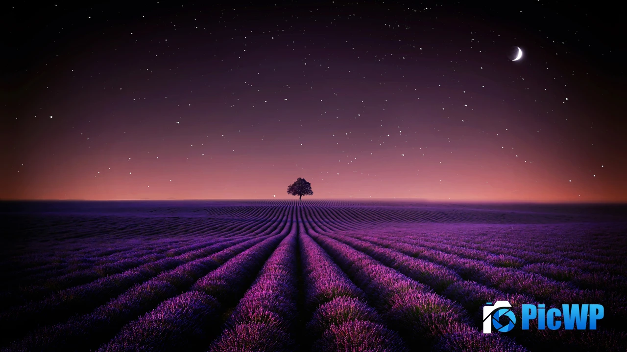Lone tree Aesthetic 4K PC Wallpaper