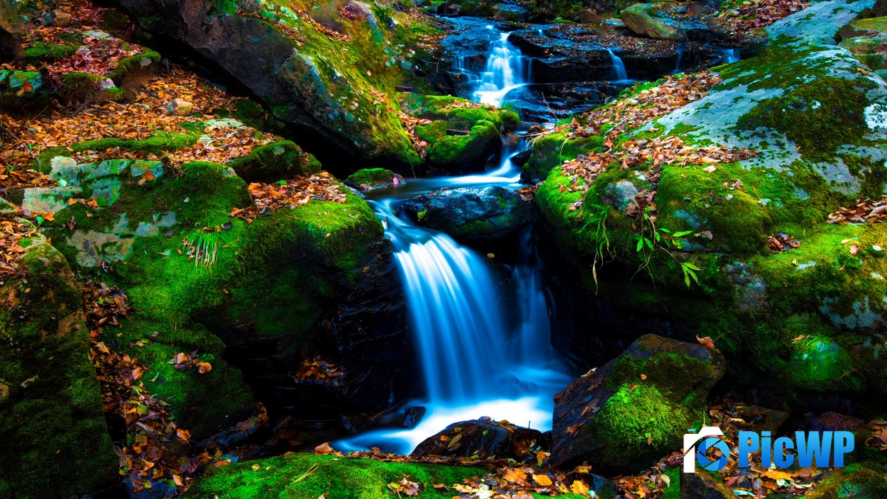 Mossy rocks Green Moss 4K PC Wallpaper