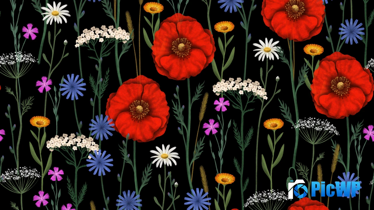 Poppies Floral designs 4K PC Wallpaper