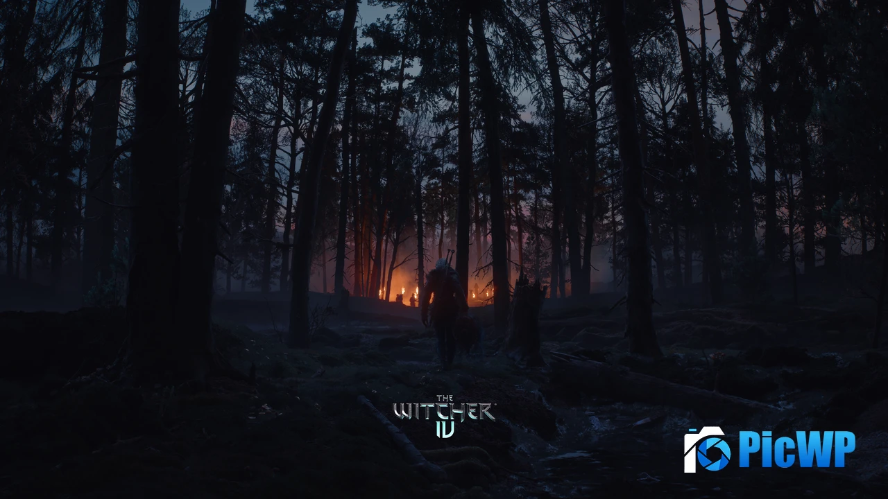 The Witcher IV Dark Forest 4K PC Wallpaper