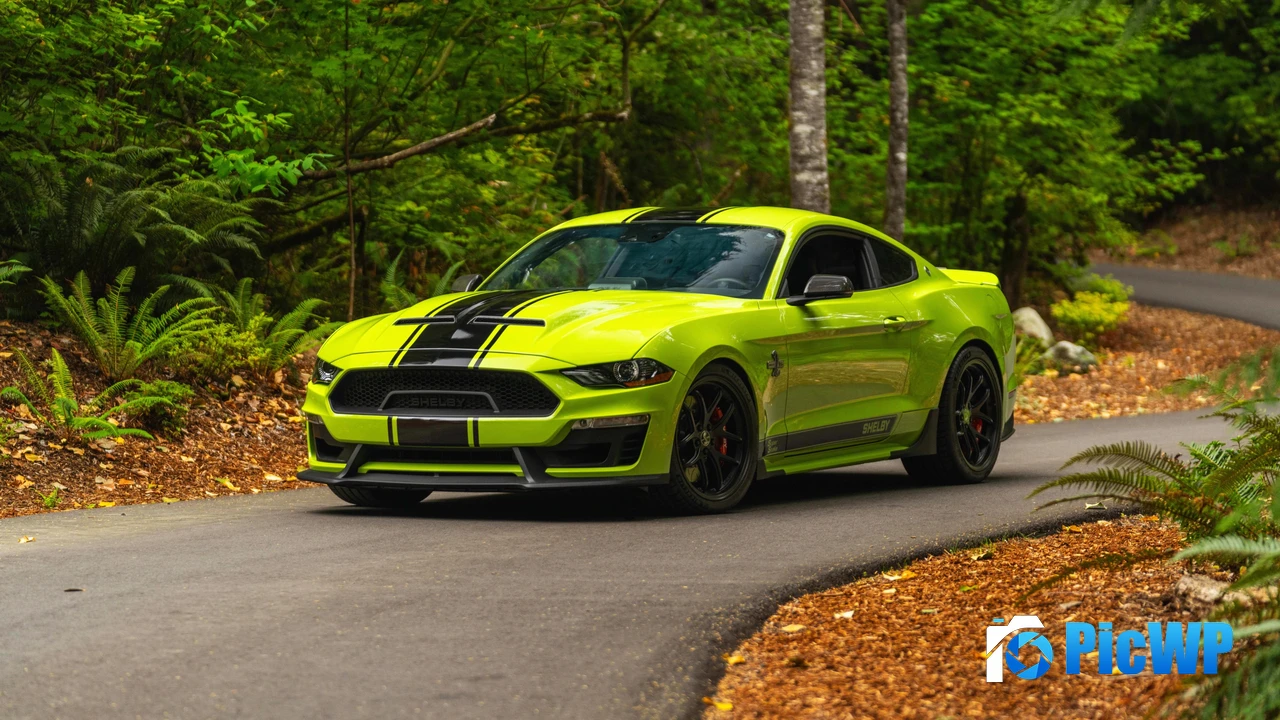 Shelby Super Snake Bold Edition 4K PC Wallpaper