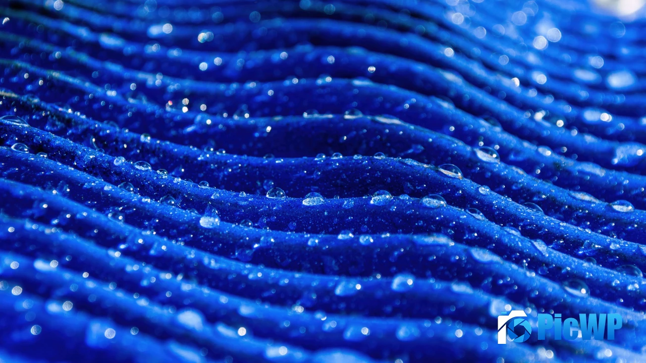 Water droplets 4K PC Wallpaper
