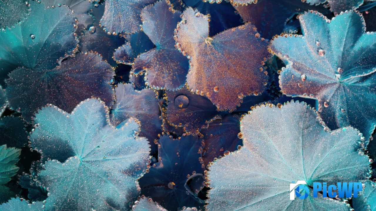 Plant Leaves Macro 4K PC Wallpaper