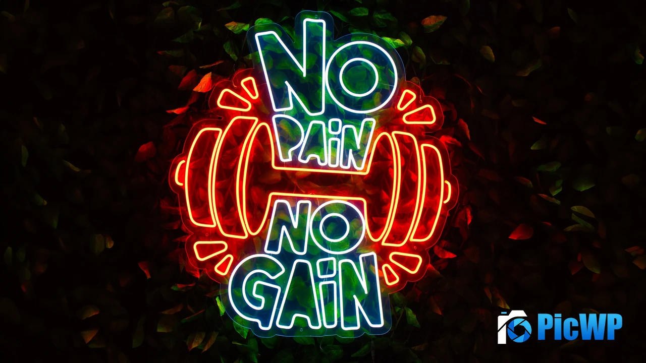 No pain No gain Neon sign 4K PC Wallpaper