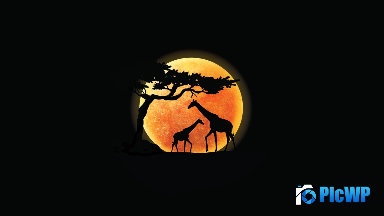 Giraffe Silhouette 4K PC Wallpaper