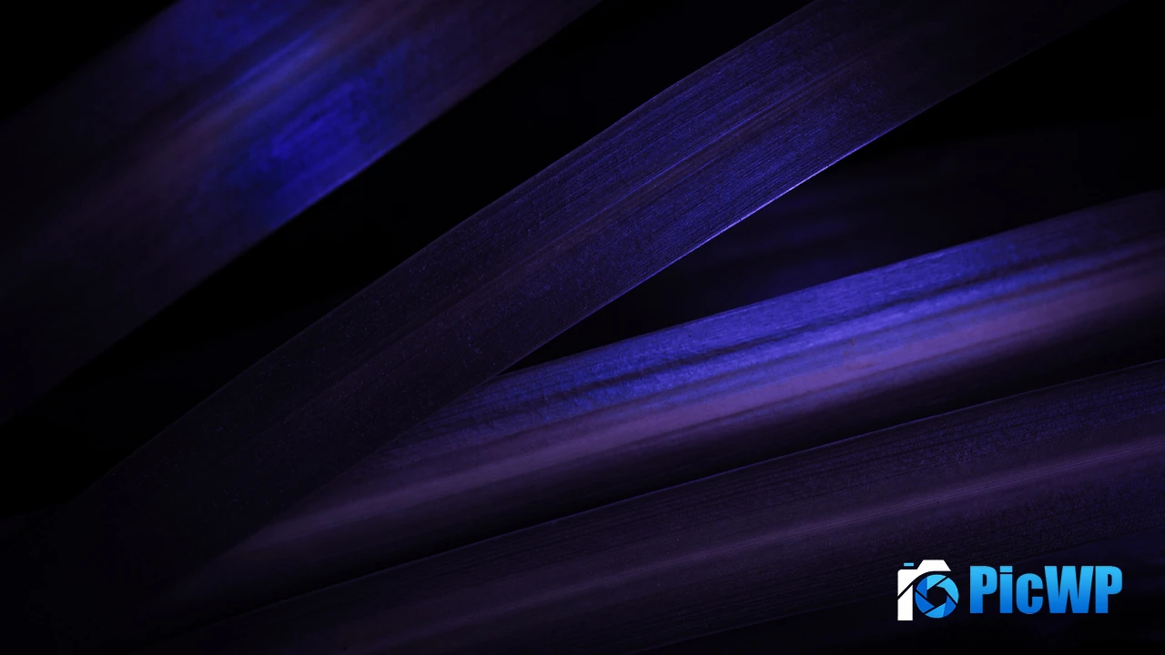 Purple aesthetic Leaves 4K PC Wallpaper