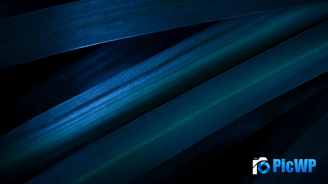 Leaves Blue aesthetic 4K PC Wallpaper