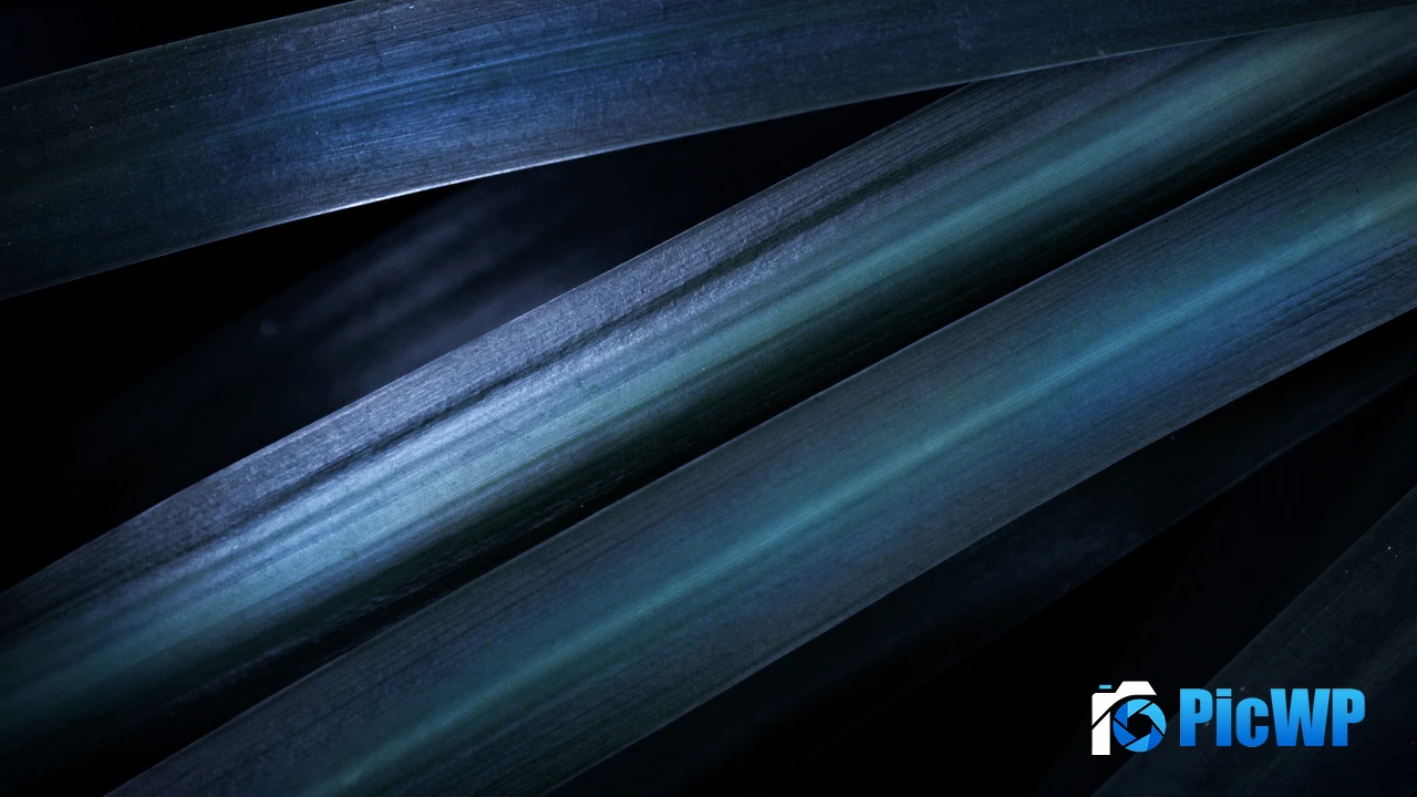 Blue aesthetic Leaves 4K PC Wallpaper