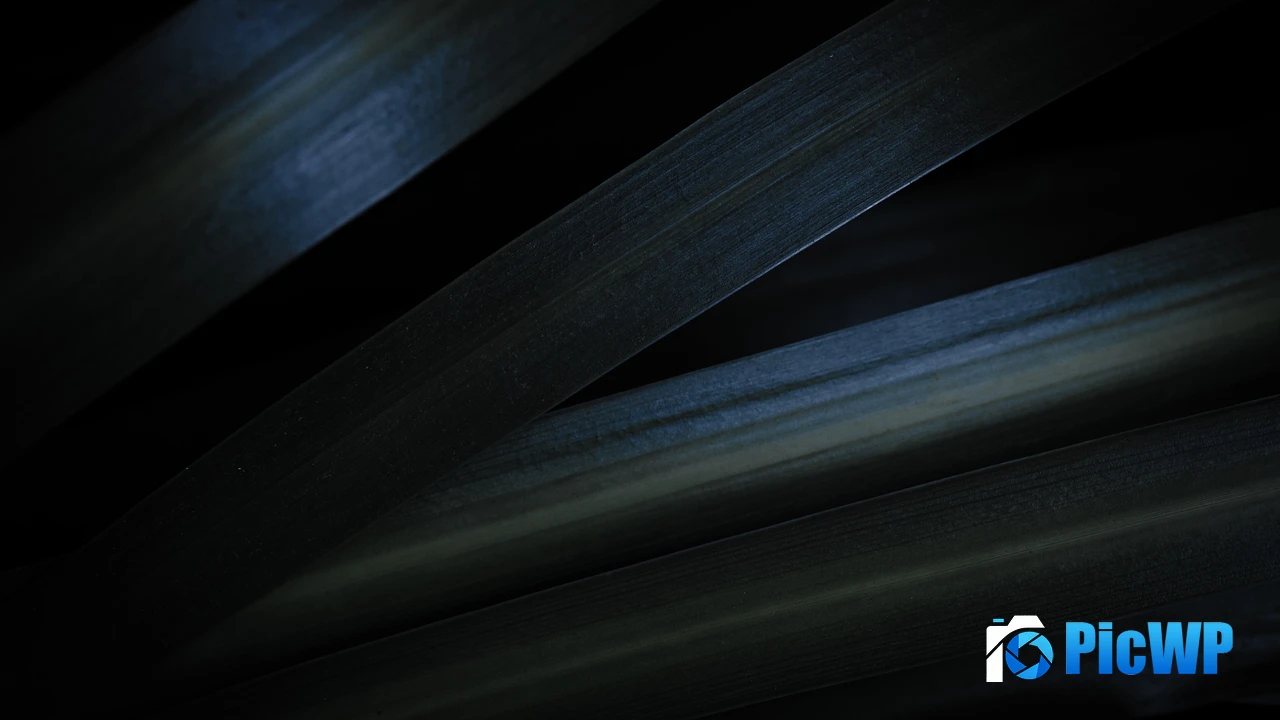 Grey Leaves 4K PC Wallpaper