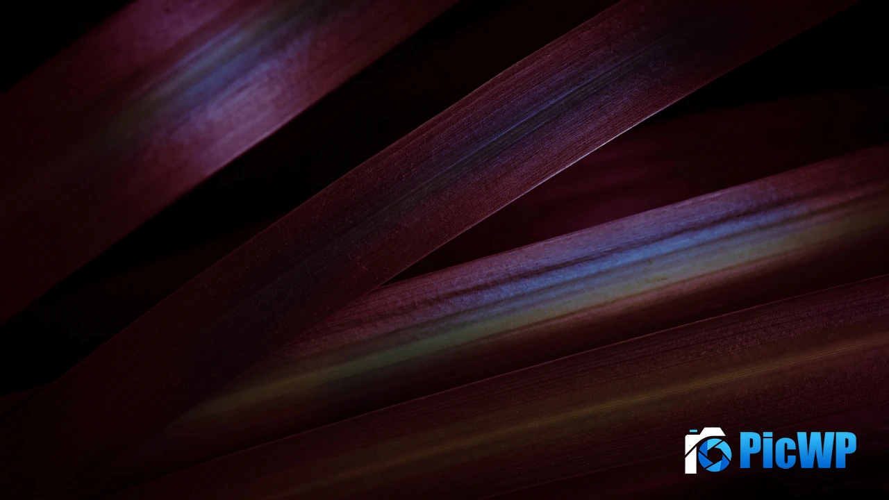 Red leaves Aesthetic 4K PC Wallpaper