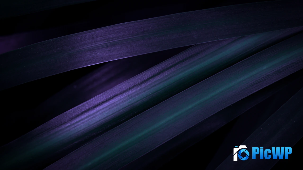 Purple leaves Macro 4K PC Wallpaper