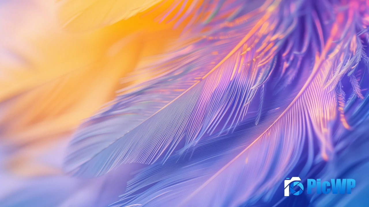 Feathers Purple aesthetic 4K PC Wallpaper