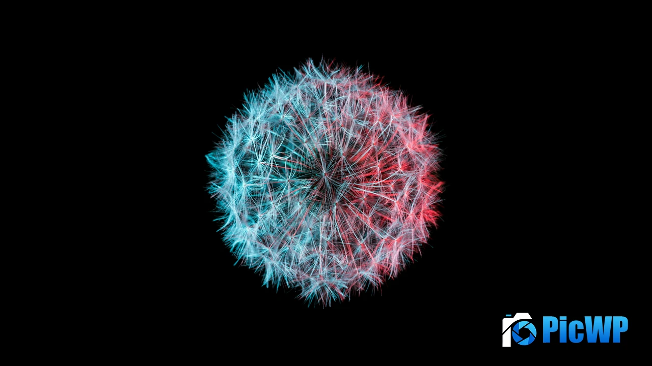 Dandelion flower AMOLED 4K PC Wallpaper