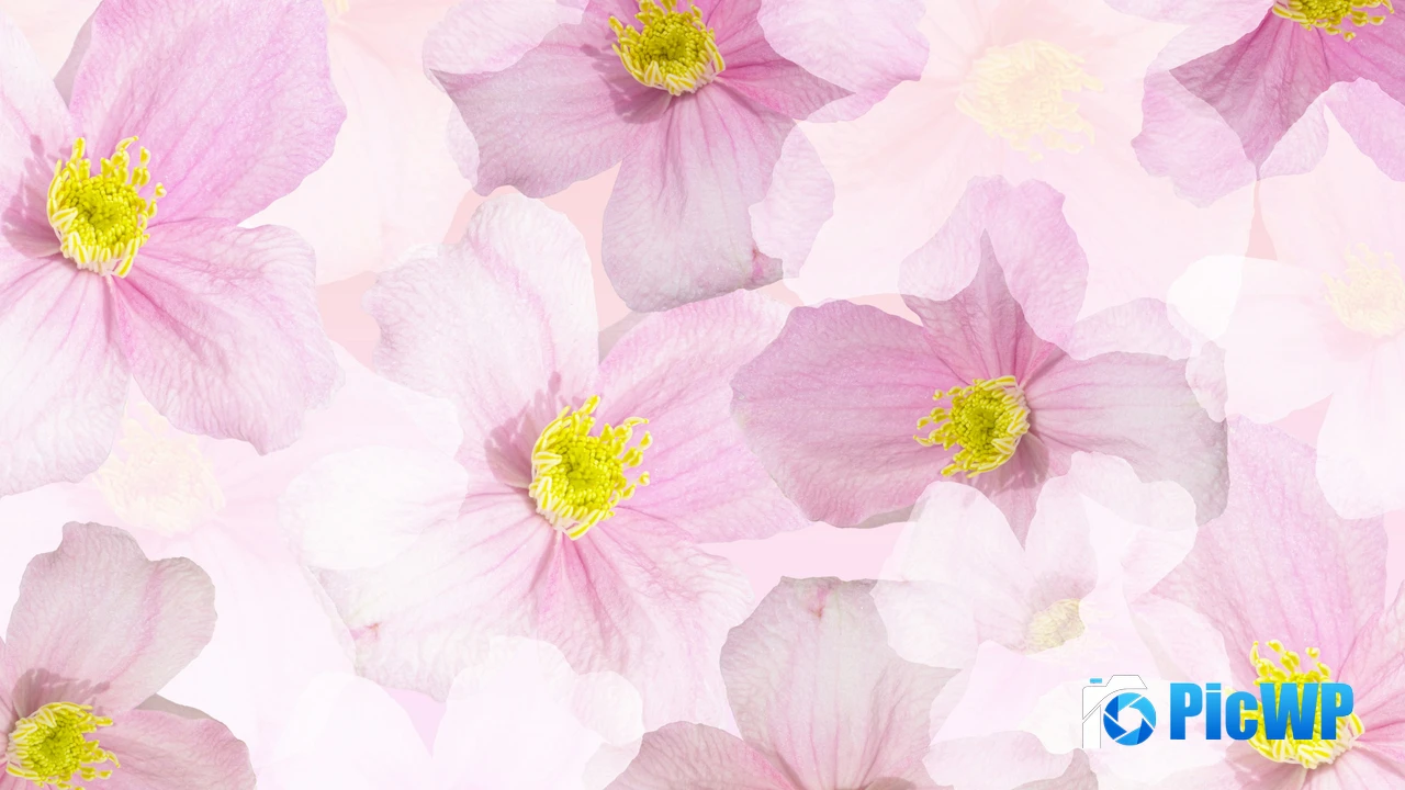 Spring flowers Blossom 4K PC Wallpaper
