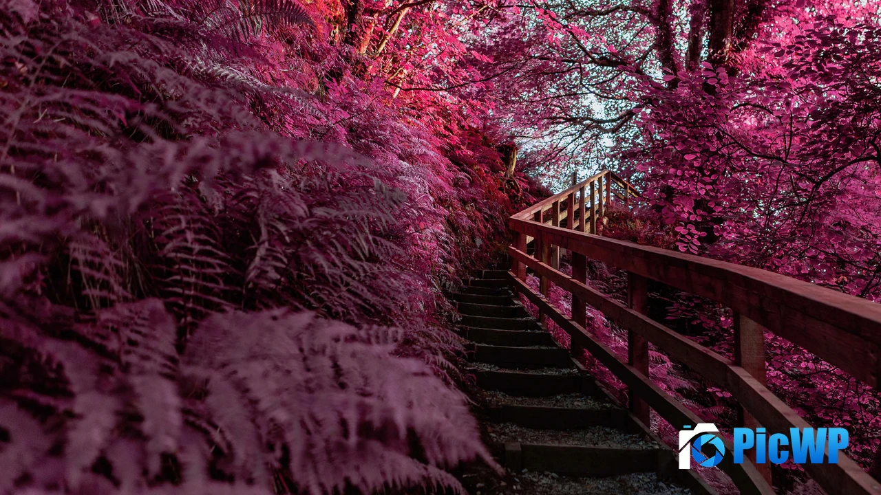 Wooden stairs Pink aesthetic 4K PC Wallpaper