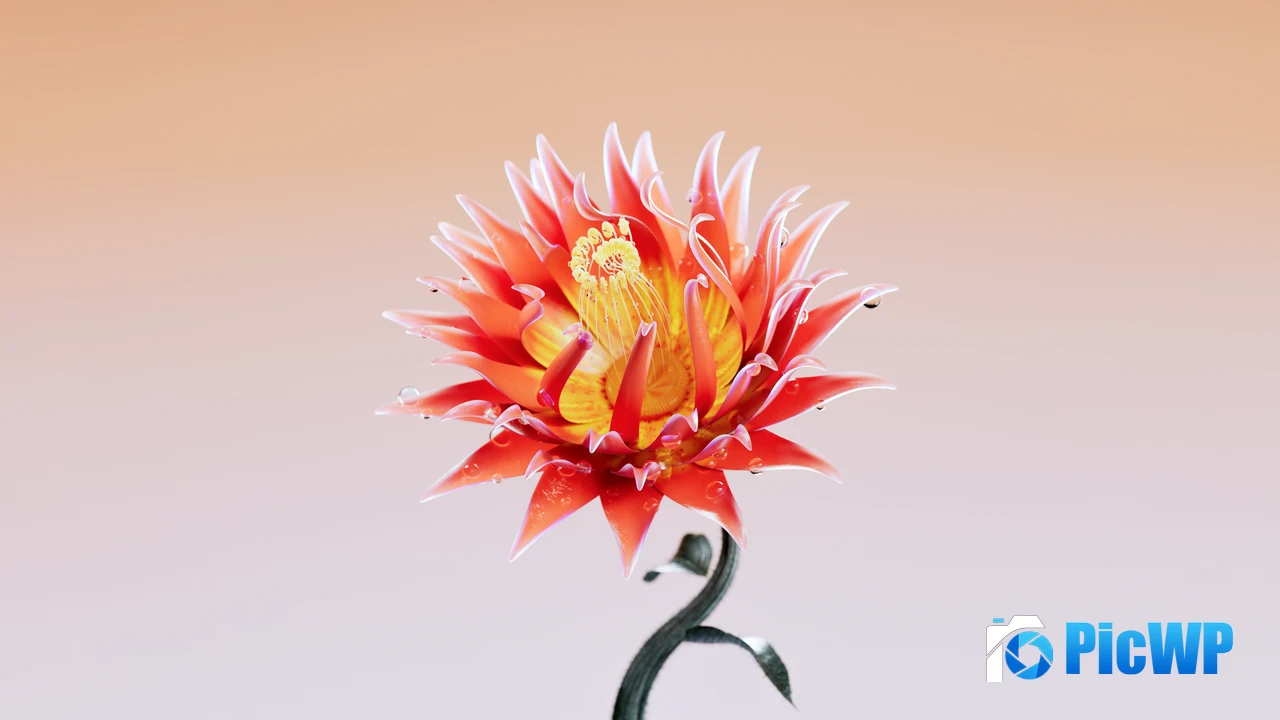 Red King Protea Flower 4K PC Wallpaper