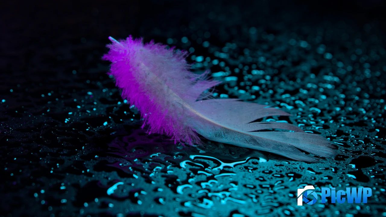 Neon light Feather 4K PC Wallpaper