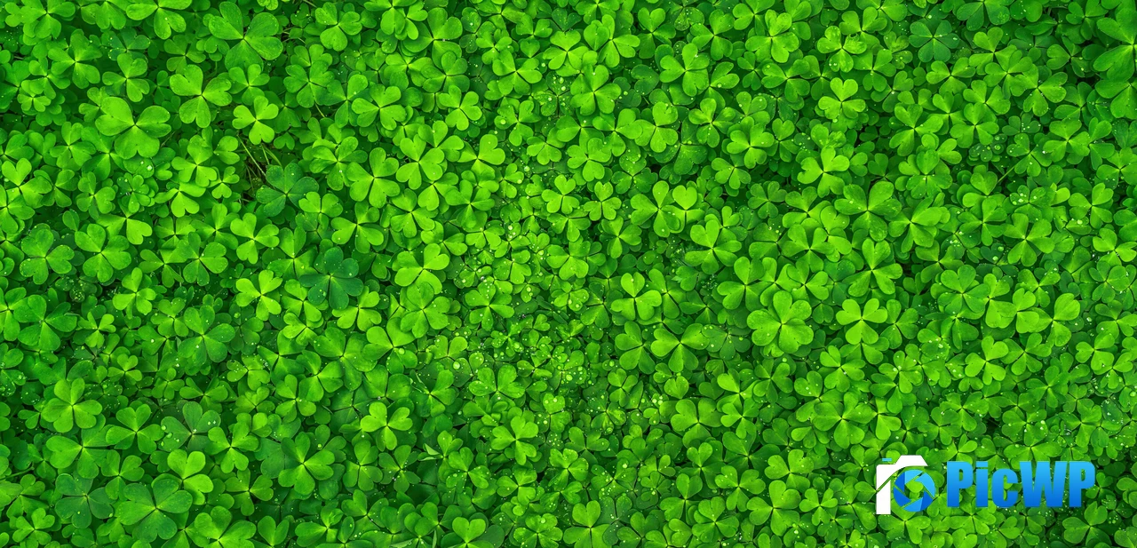St. Patrick's Day Shamrock 5K Wide Wallpaper