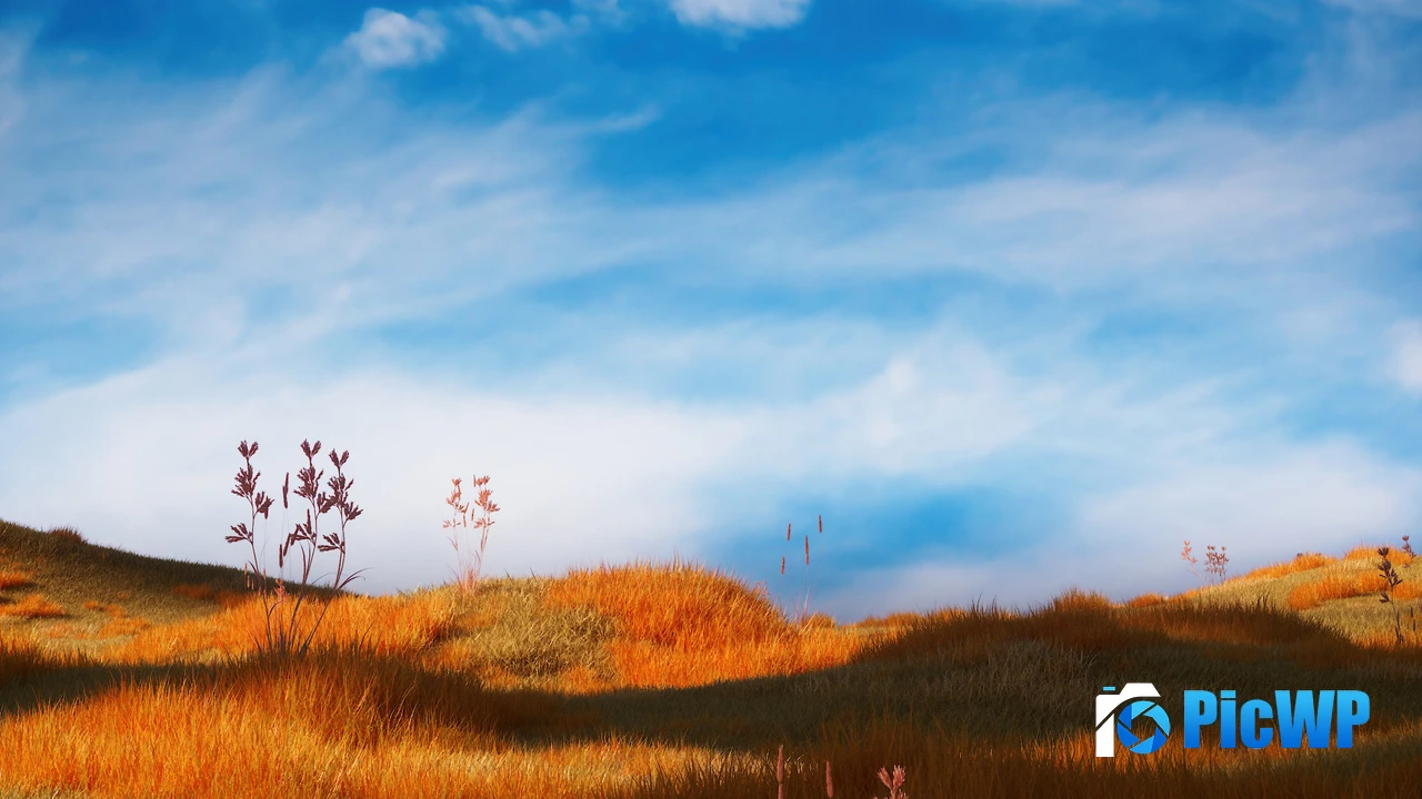 Grass field Serene 4K PC Wallpaper
