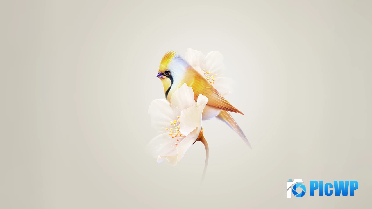 Pretty Hummingbird 4K PC Wallpaper