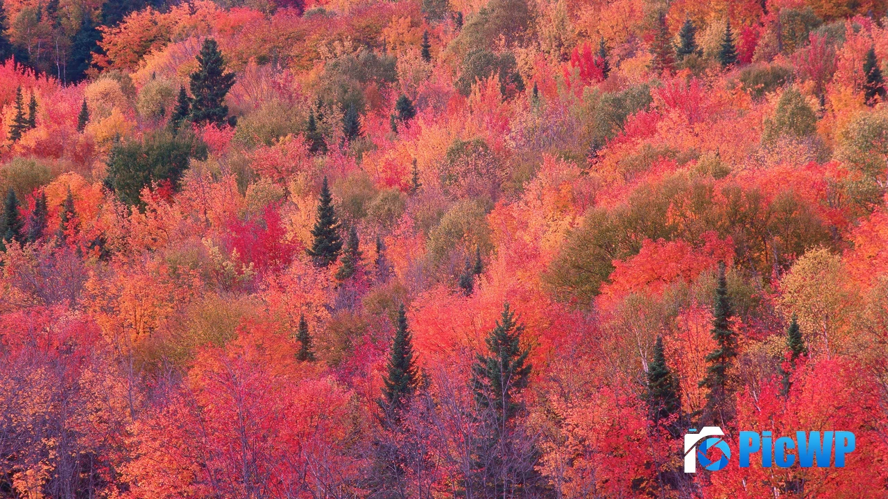 OS X Mountain Lion Earth 4K PC Wallpaper