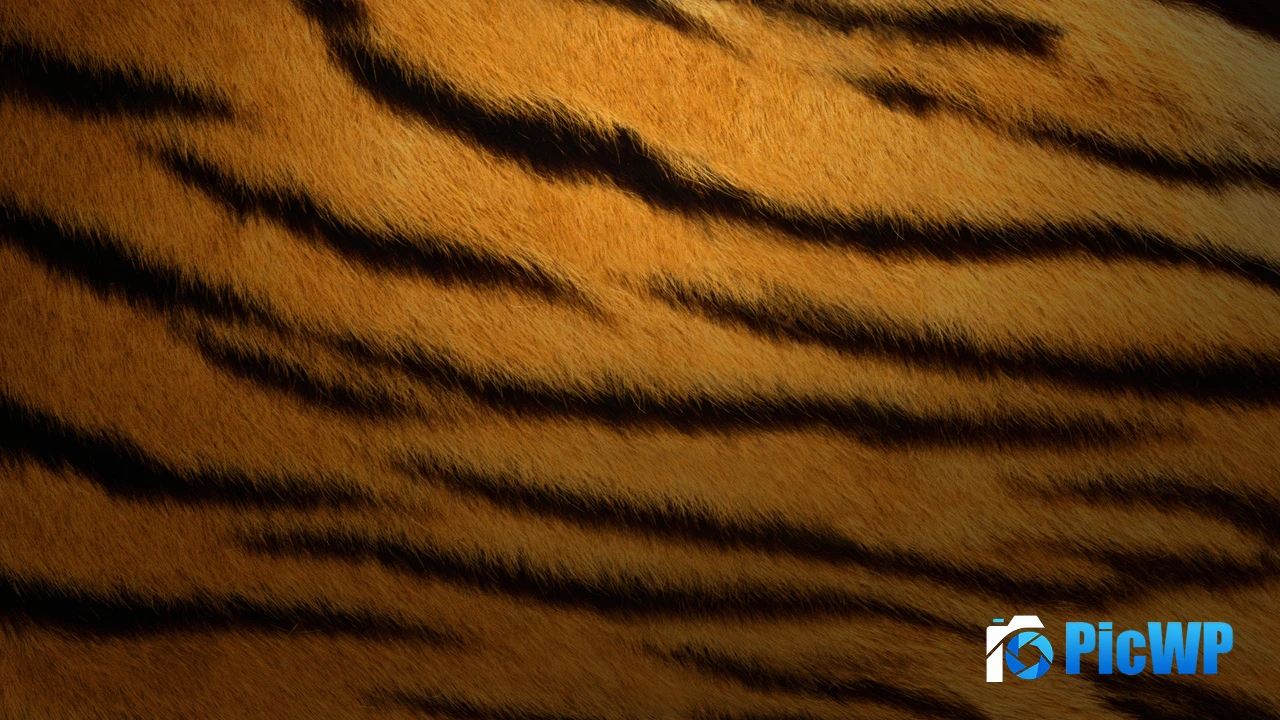 Tiger skin Texture 4K PC Wallpaper