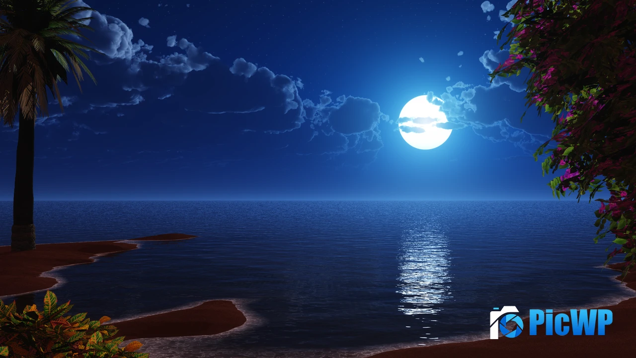 Beach Night 4K PC Wallpaper
