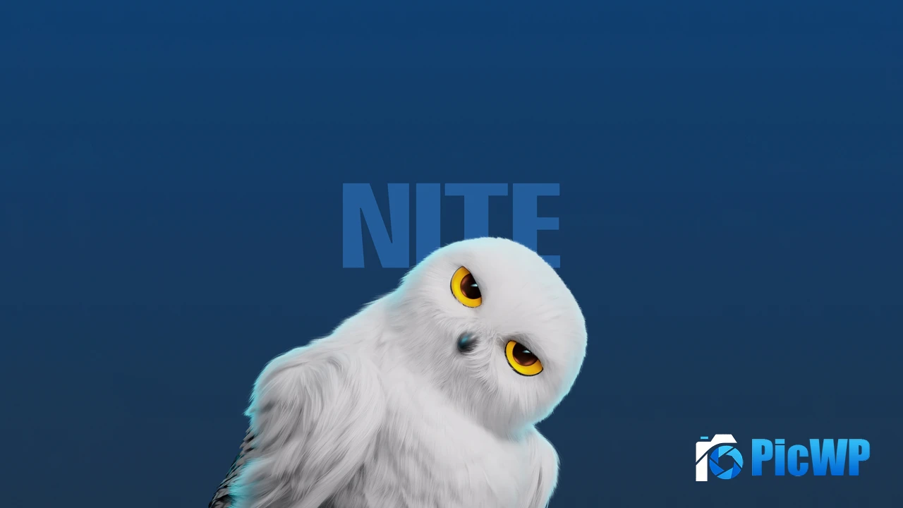 White Owl Cute cartoon 3K Mobile Wallpaper