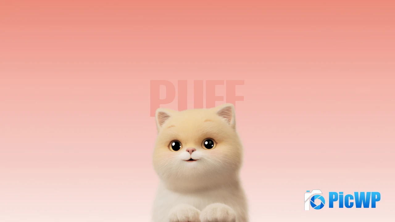 Cute dog Cute Cat 8K PC Wallpaper
