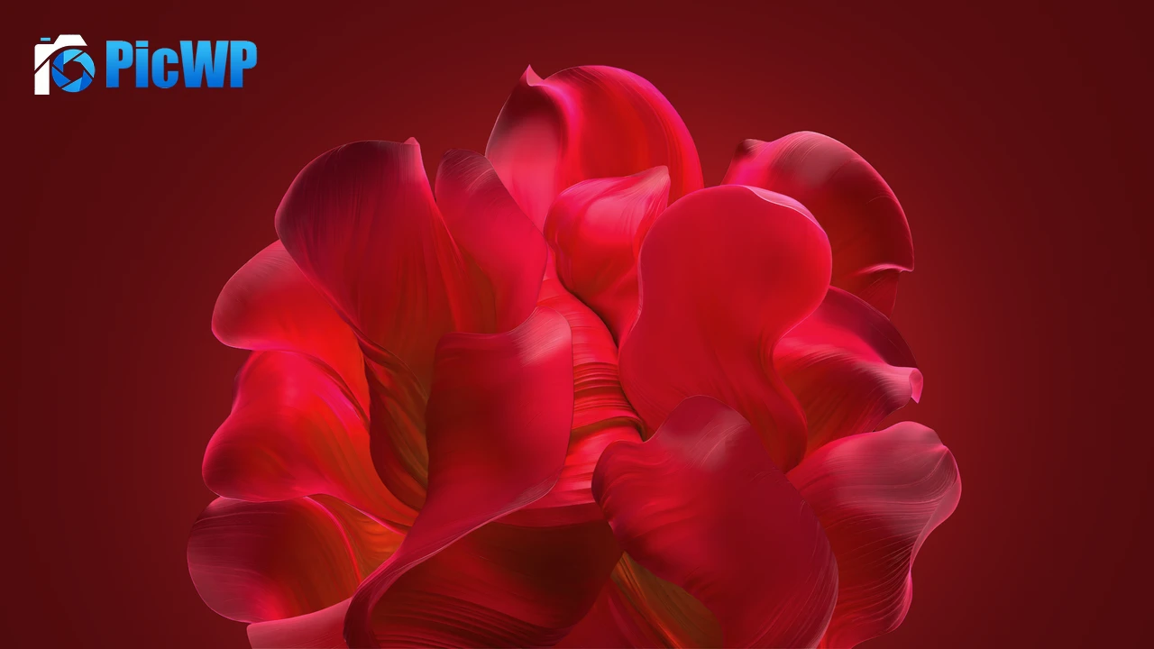 Windows 11 Bloom collection 4K PC Wallpaper