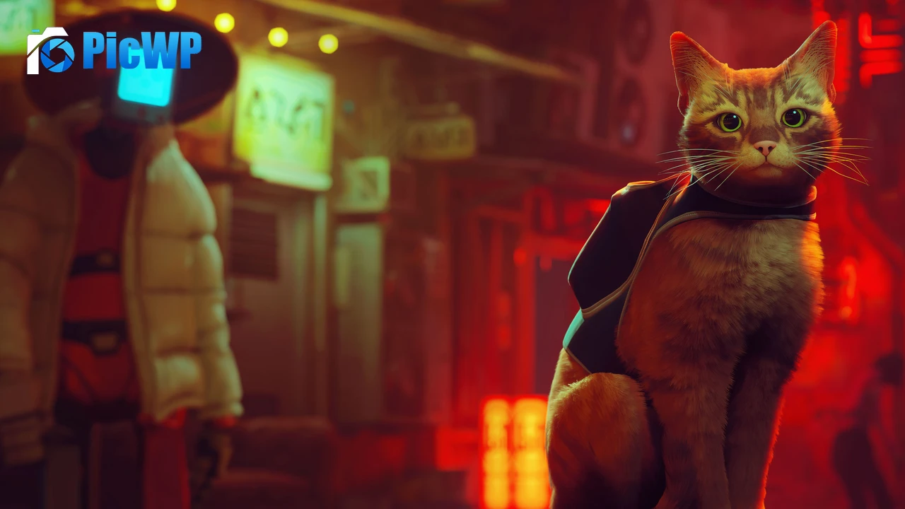 Stray PlayStation 5 4K PC Wallpaper
